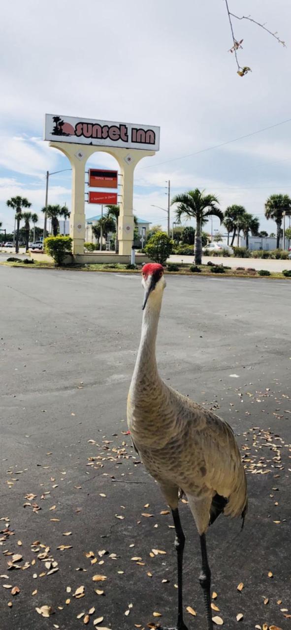 Sunset Inn- Fort Pierce, Fl Dış mekan fotoğraf