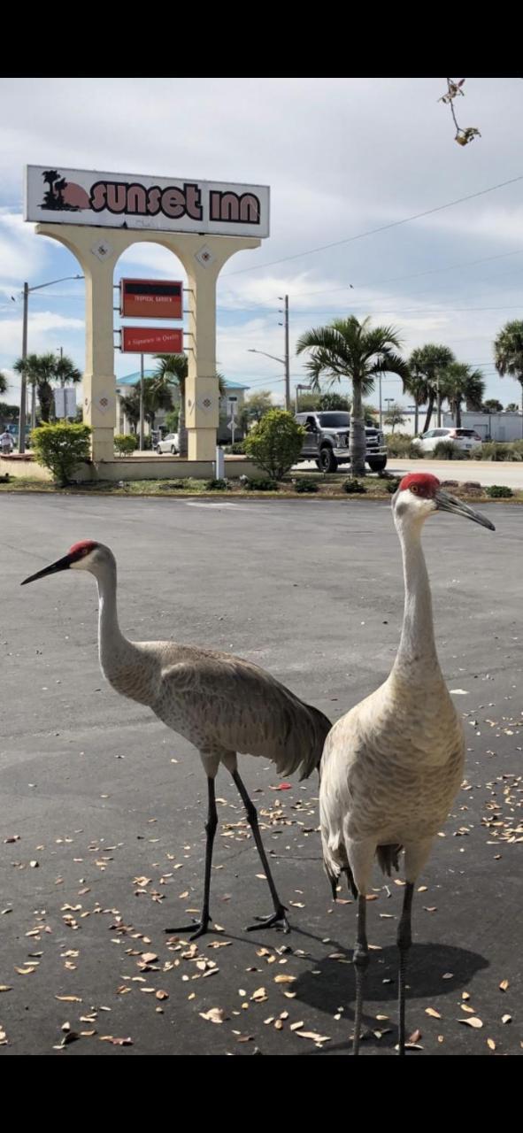 Sunset Inn- Fort Pierce, Fl Dış mekan fotoğraf
